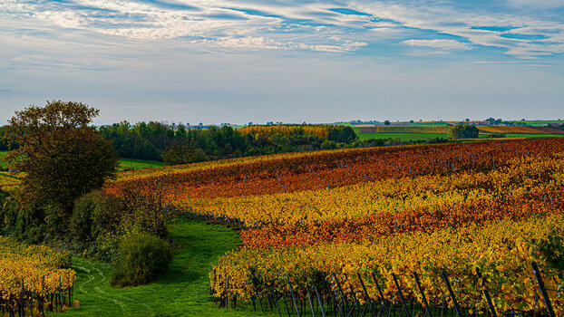 Pfalz-Ingenheim-5663-2.jpg