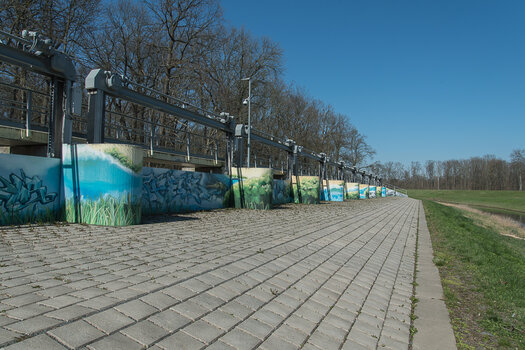 DSC_1212.jpg