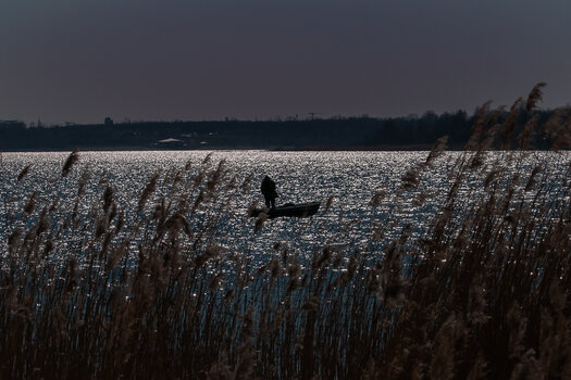 DSC_8643-Bearbeitet.jpg