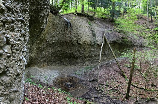 Neues Panorama 5.02.jpg