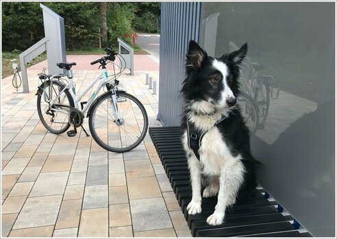 border_mit_fahrrad.jpg border_mit_fahrrad.jpg