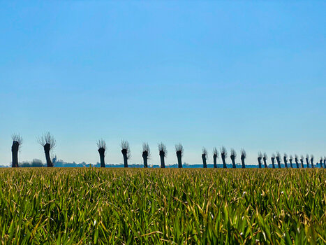 IMG_7812-2.jpg