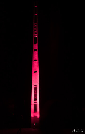 DSC_0007.jpg