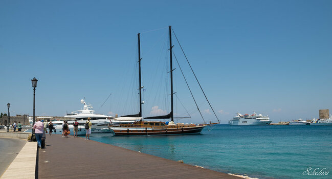 DSC_2350.jpg