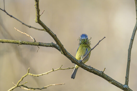 THK_2355-1.jpg