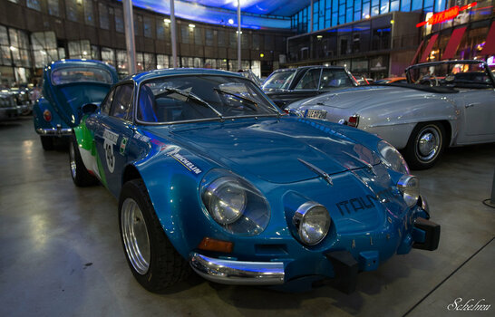 DSC_2486.jpg
