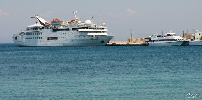DSC_2339.jpg