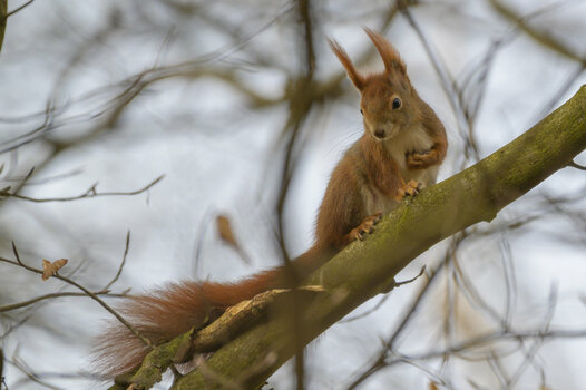 THK_0940-1.jpg