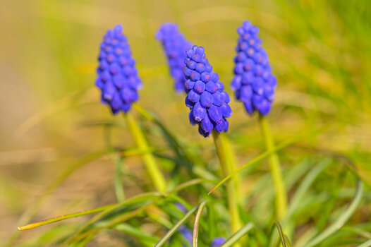 THK_2635-1.jpg