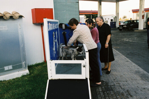 Hundewasch_001.jpg Hundewasch_001.jpg