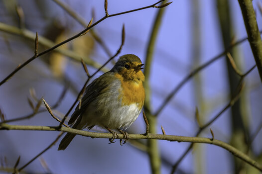 THK_3398-1.jpg