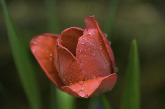 THK_3558-1.jpg