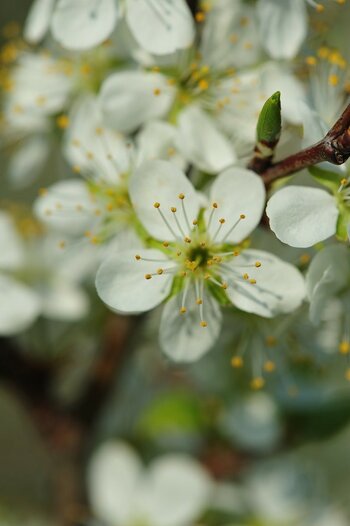 DSC_6858.JPG