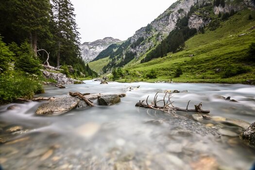 Photo contest thumbnail