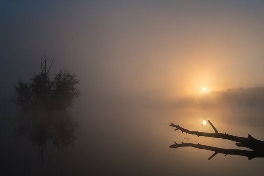 Photo contest thumbnail