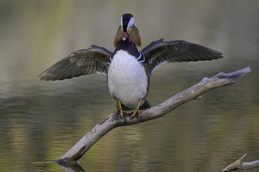 THK_3921-1.jpg