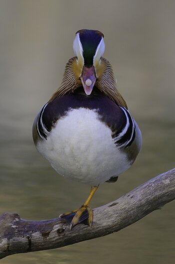THK_3926-1.jpg