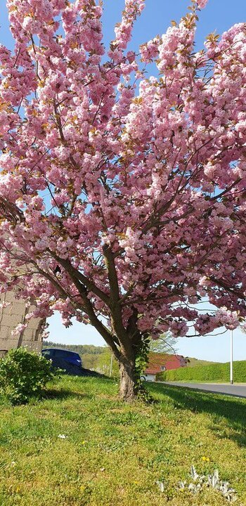 20200419_170124.jpg