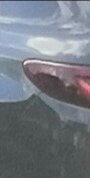 IMG_20200425_145422.jpg