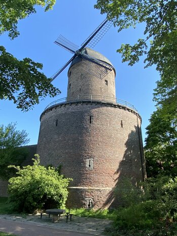 IMG_3387.JPG