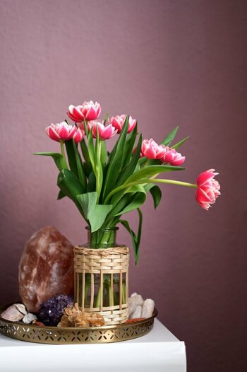 D861A759-3942-47CD-94E4-30D7D5C4E251.jpeg