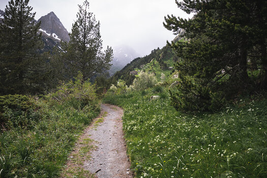 IMG_2019-06-05_17-28-15.jpg