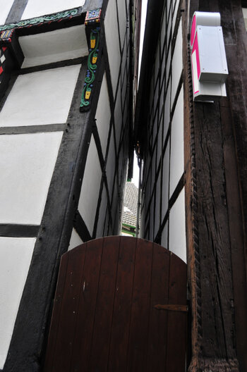 Hatt_010309_034.jpg