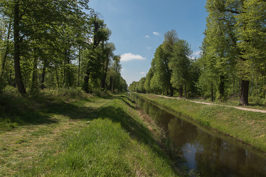 _7502198.jpg