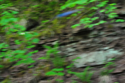 DSC_7574.JPG DSC_7574.JPG