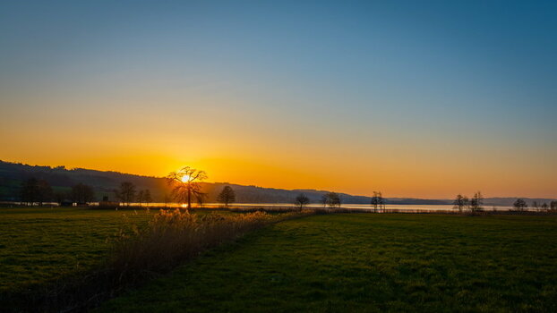 FF85EE24-5517-40F5-86CE-82C243589DB8.jpeg