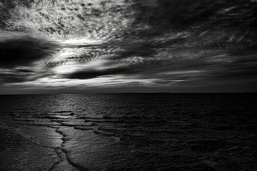 _DSC0081_nf_ bw.jpg