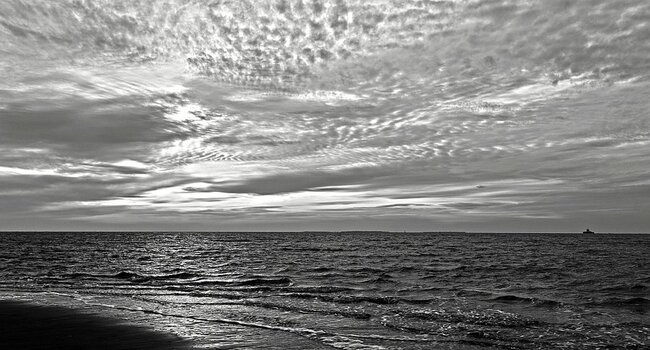 _DSC0074 nf_sw.jpg
