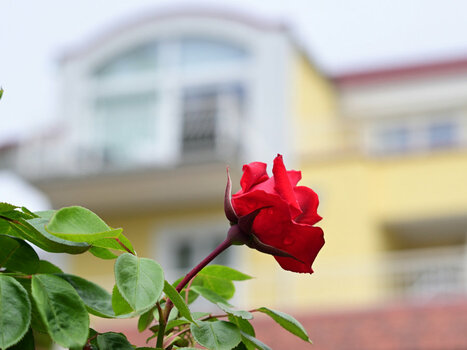 DSC_9694.jpg DSC_9694.jpg