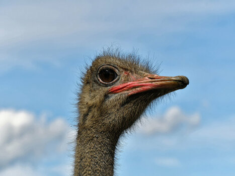 DSC_3088_DxO_3.jpg