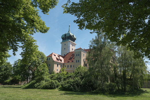 _7502805.jpg