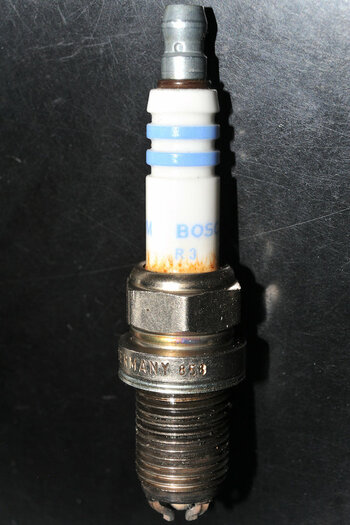 DSC_10345.jpg