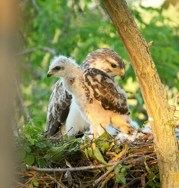 DSC_2953neu3.jpg