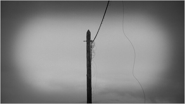 20090327_A7_0946swNF.jpg
