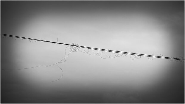 20090327_A7_0923swNF.jpg