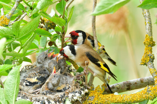 DSC_3051.JPG