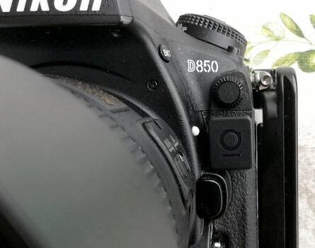 foolography-unleashed.jpg