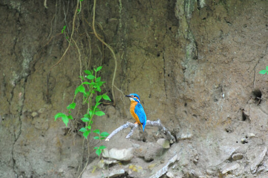 DSC_8586.JPG