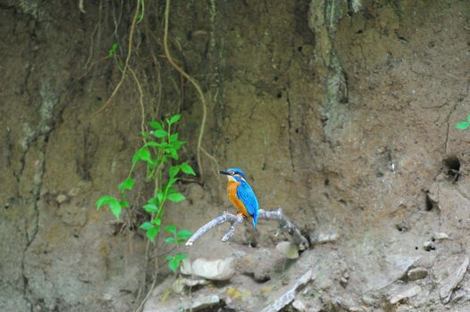 DSC_8598.JPG