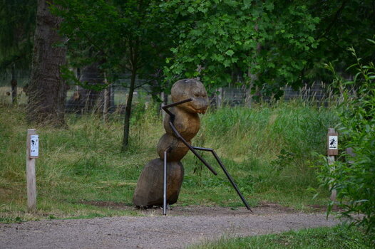 Ameise_00001DSC_0089.jpg