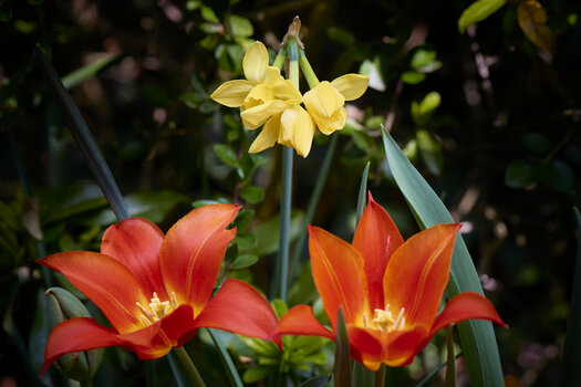 0418_1314_D8H_6412 2.jpg