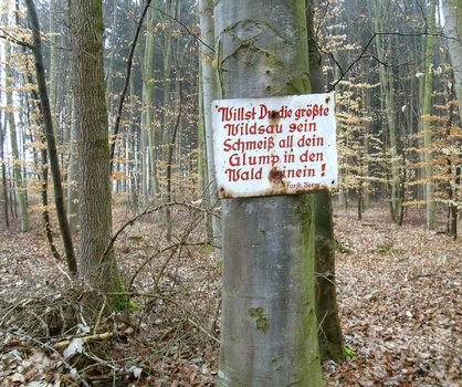Wald, Umwelt.jpg