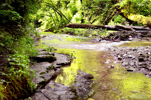 gauchachschlucht001.jpg