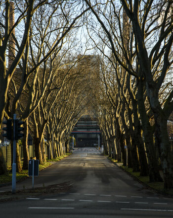 05-Allee.jpg