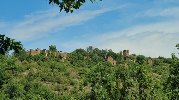 IMG_2241neu2.jpg