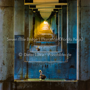birds-under-bridge-phantastic-light-01.jpg birds-under-bridge-phantastic-light-01.jpg
